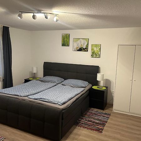 Ferienhaus Ayna, Direkt An Der Schweizer Grenze Bad Sackingen Luaran gambar